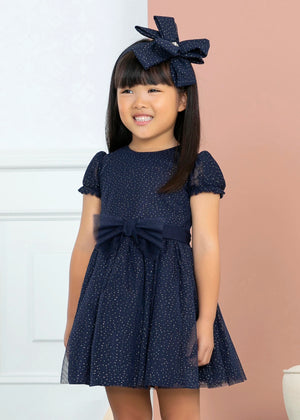 Glitter Tulle Dress Girl