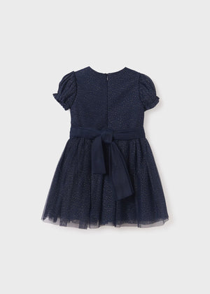 Glitter Tulle Dress Girl