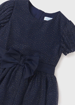 Glitter Tulle Dress Girl