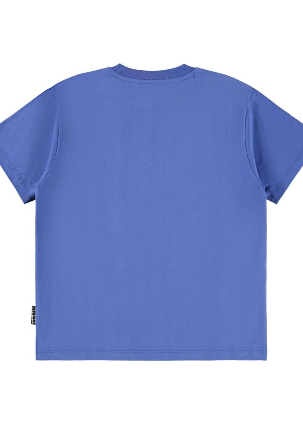 Rodney  Dazzling Blue