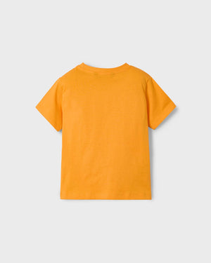 Boy's Printed T-Shirts