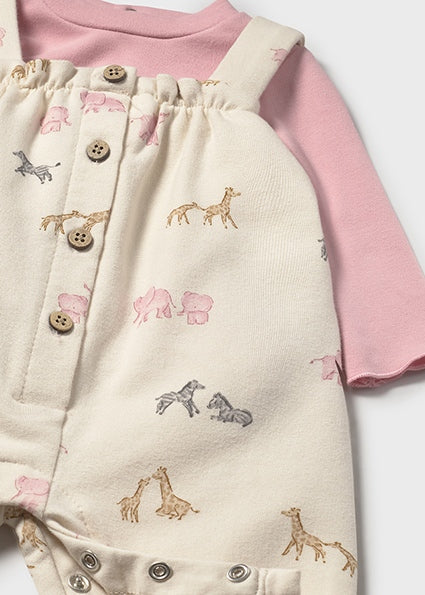 Newborn Girl Dungaree and T-Shirt Set