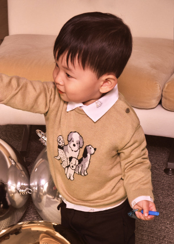 Baby Animal Intarsia Sweater