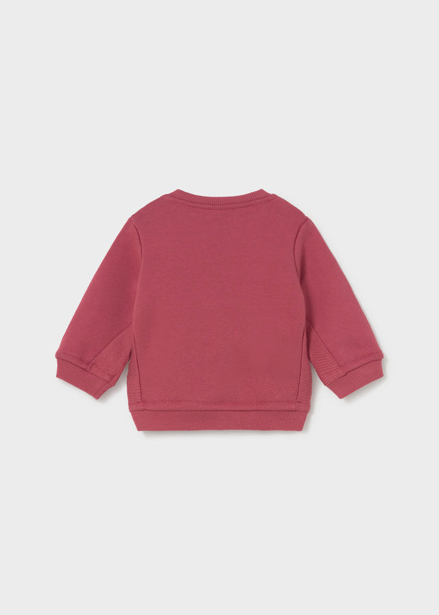 Newborn Boy Bear Sweatshirt