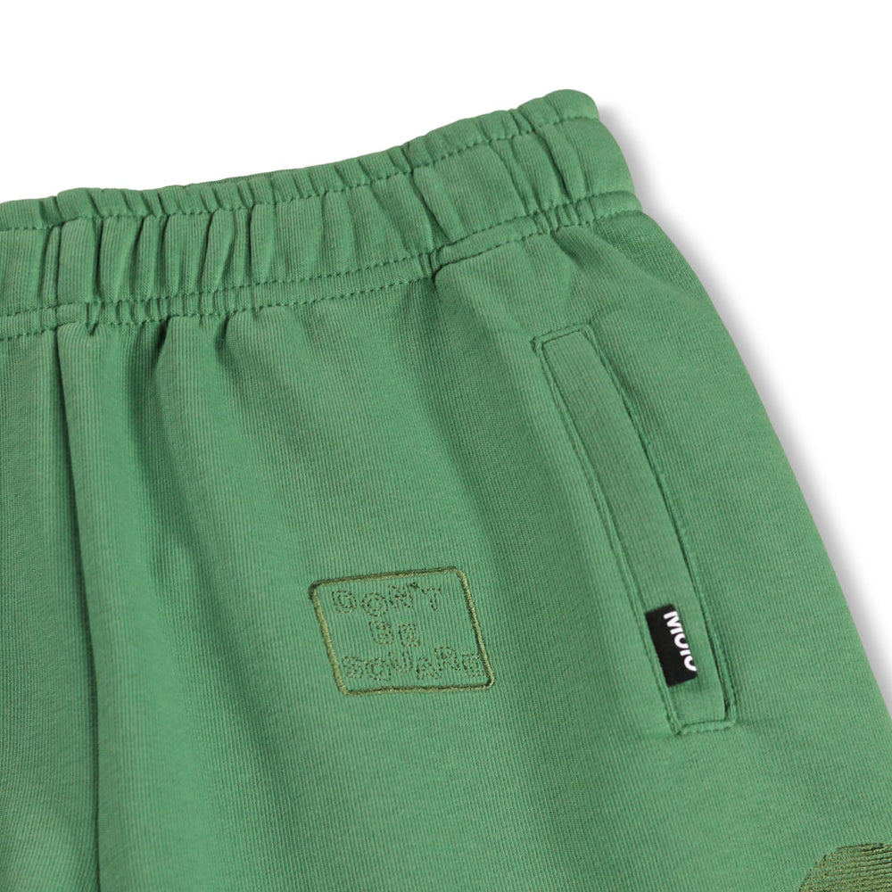 Amil Groovy Green Shorts