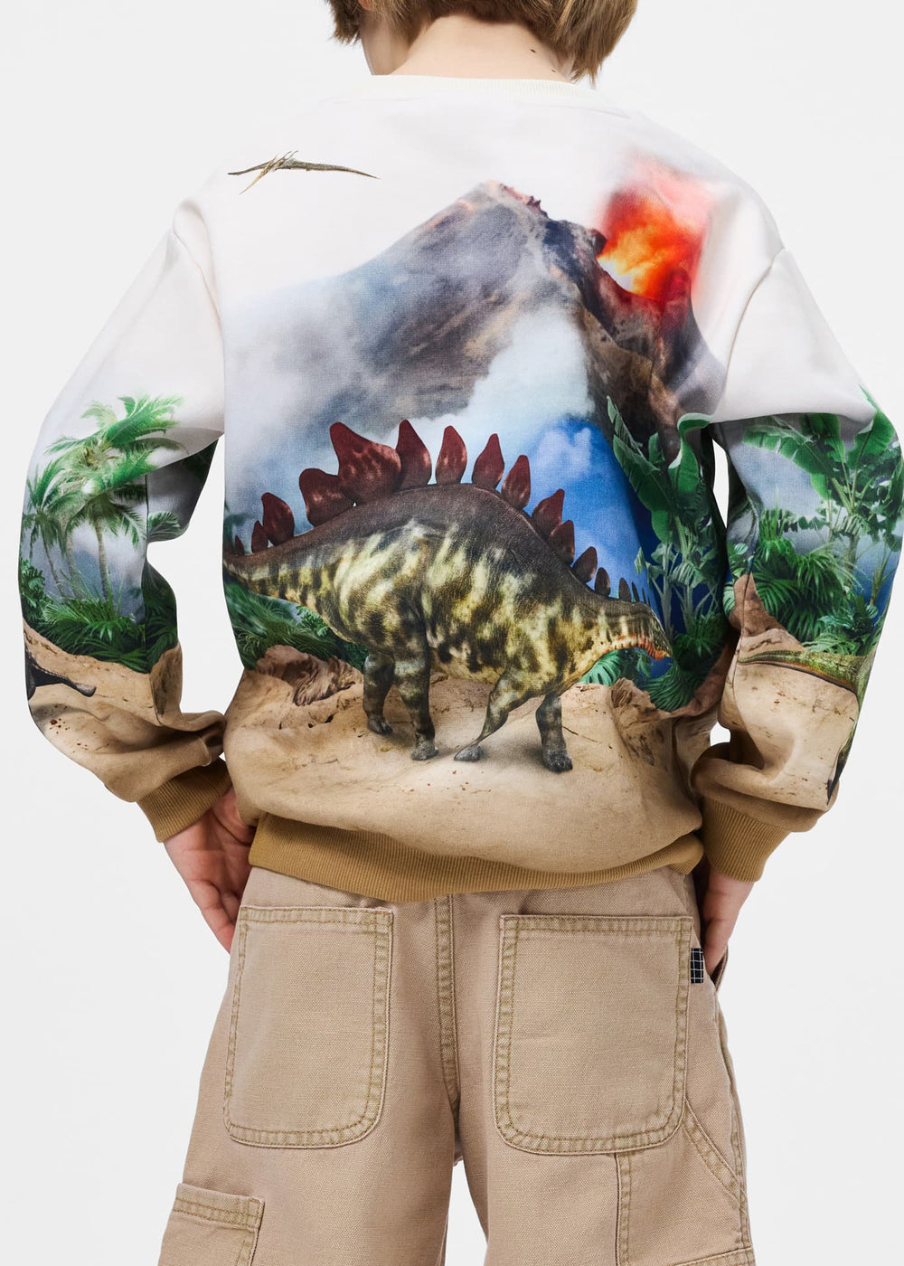 Miksi Hot Spring Dinos