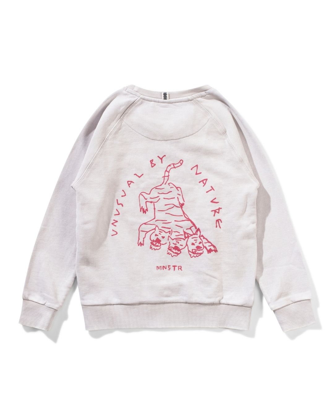 Unusual Crew Boys Sweatshirt