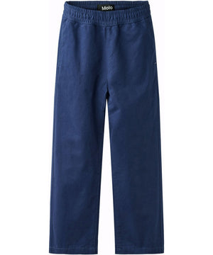 Amor Blue Depths chino pants