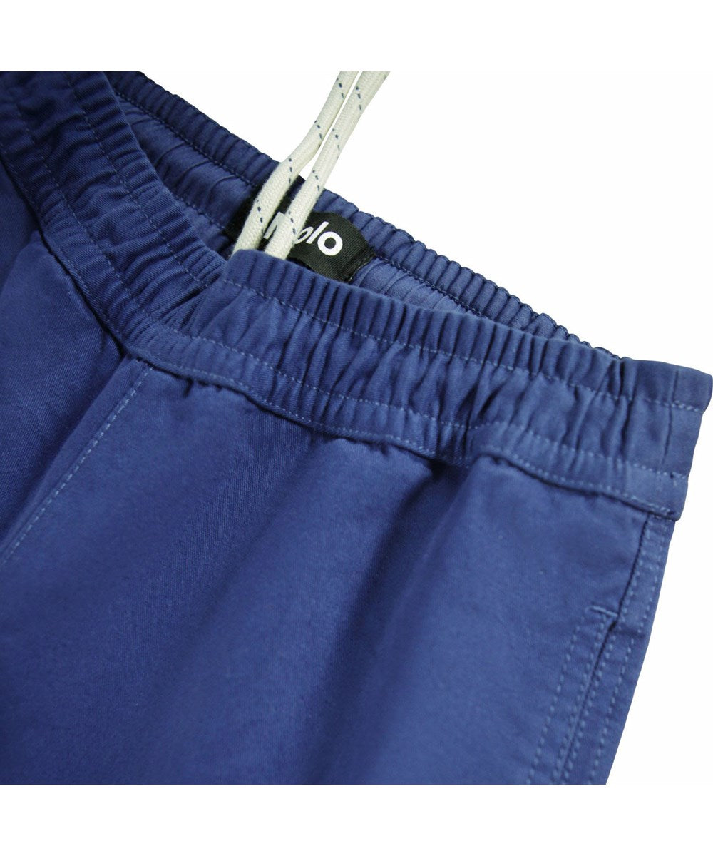 Amor Blue Depths chino pants