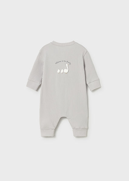 Baby Silver Onesie