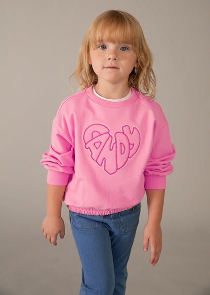 Girl Embroidered Sweatshirt