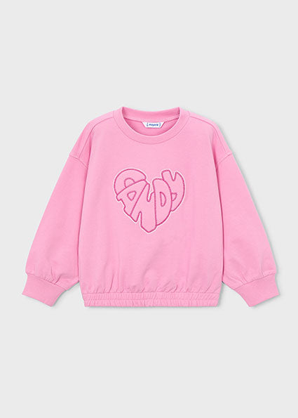 Girl Embroidered Sweatshirt