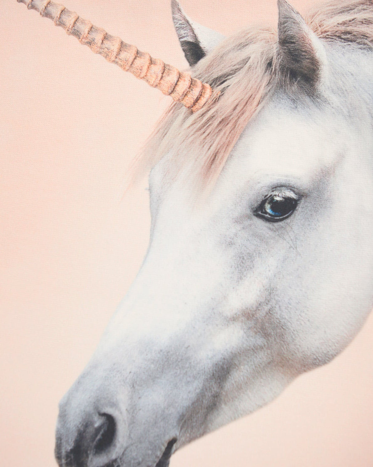 Close-up of a unicorn with a pink mane and horn on a soft pink background