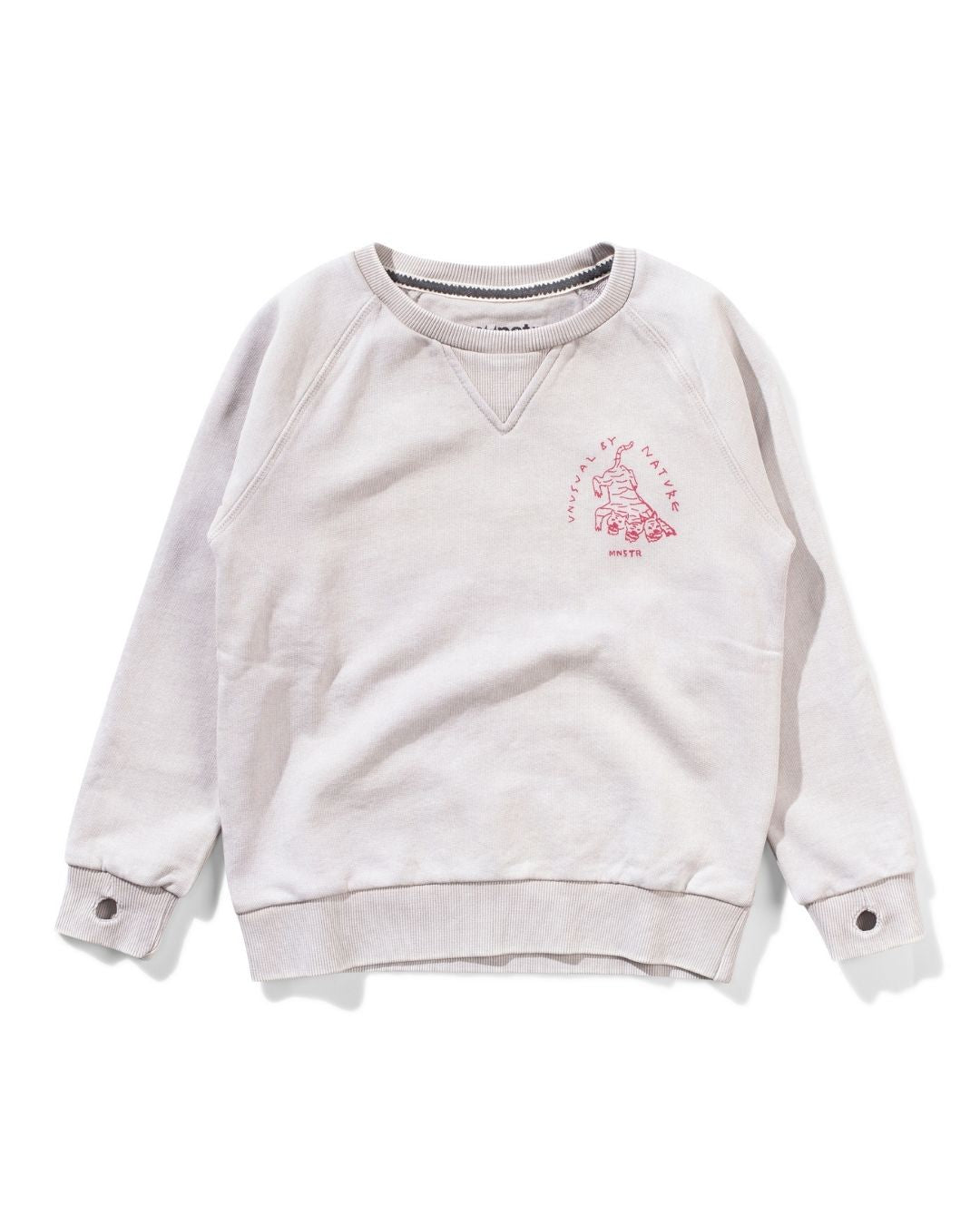 Unusual Crew Boys Sweatshirt