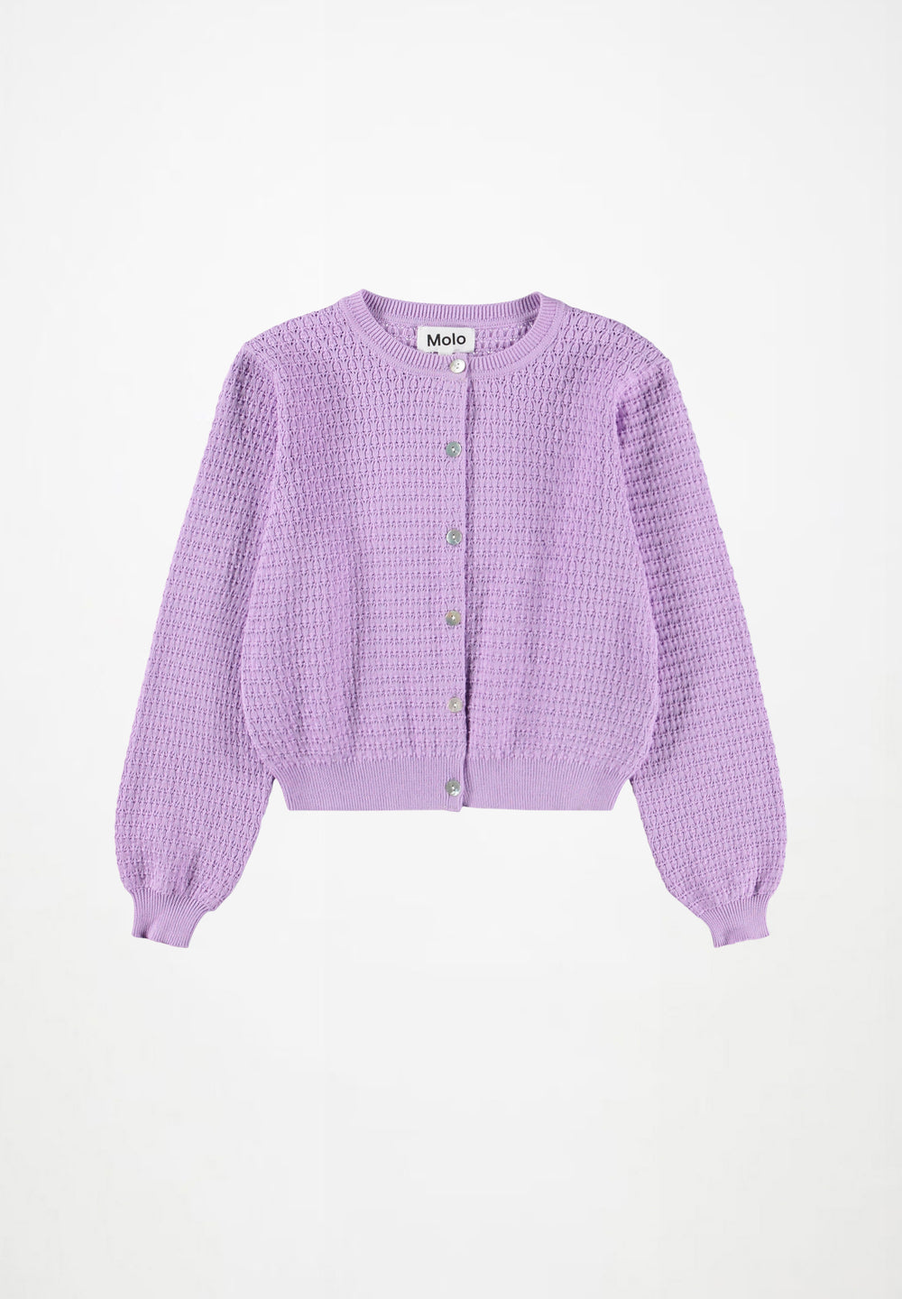 Georgina Cardi - Crocus Petal