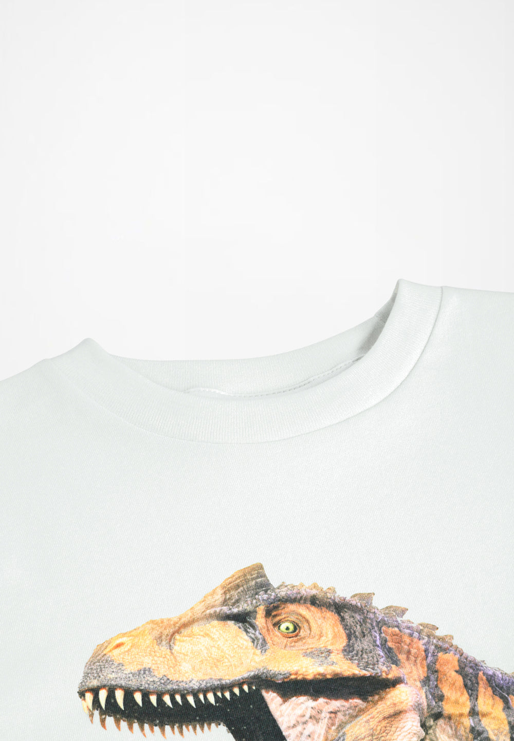 Roxo T-shirt - Seaside Dinos