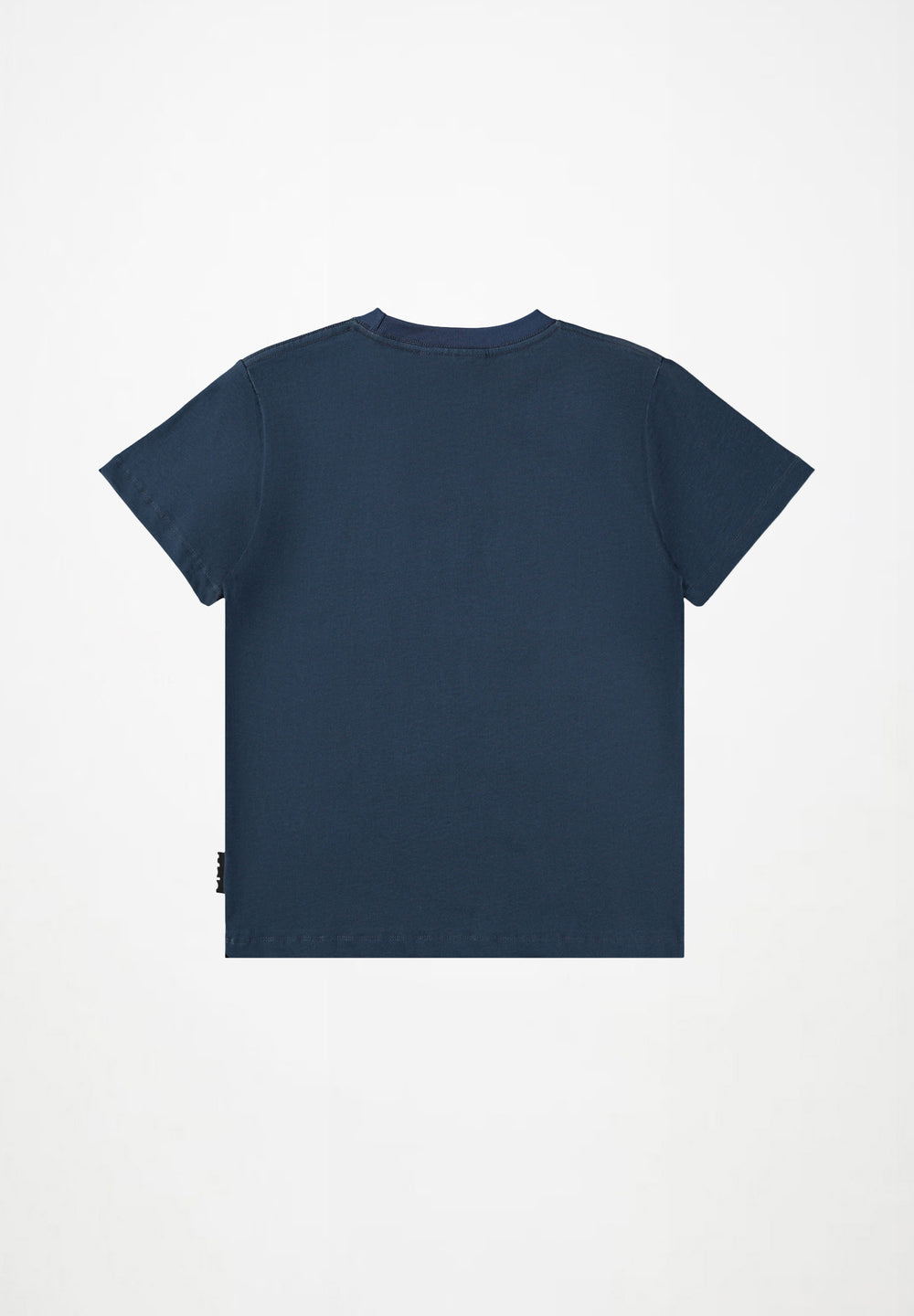 Roxo T-shirt - Moonlit Dinos