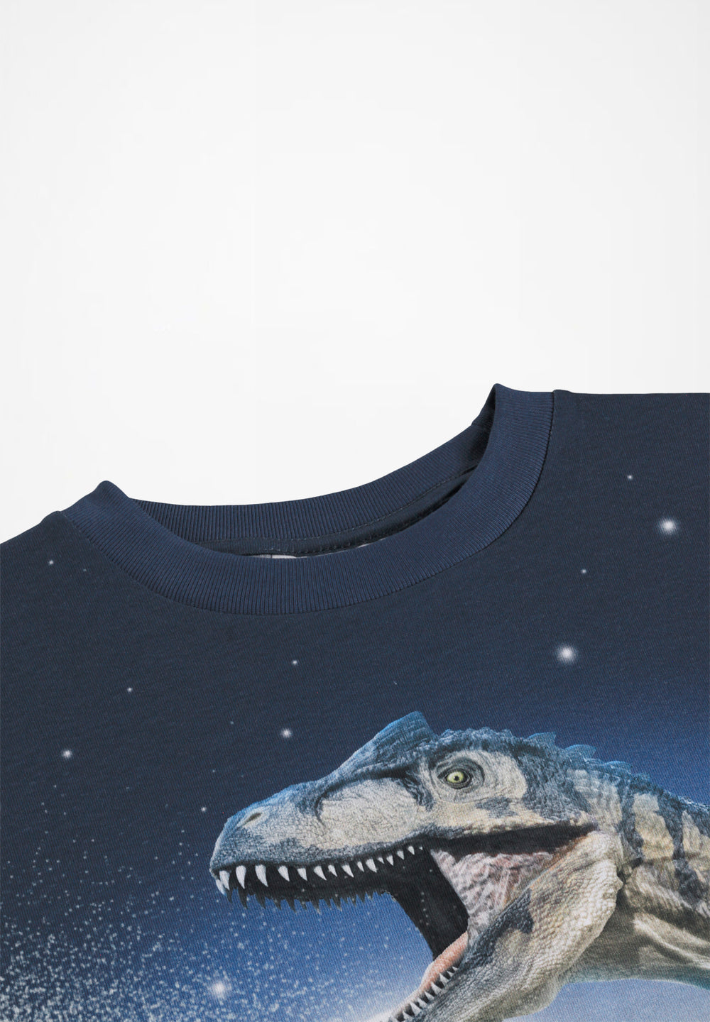 Roxo T-shirt - Moonlit Dinos
