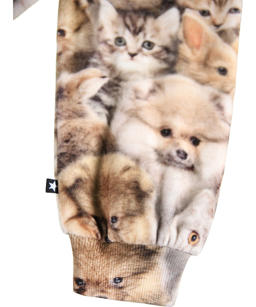 Disc Animal Set