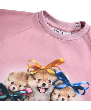 Disc Ribbon Set