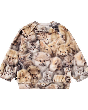 Disc Animal Set