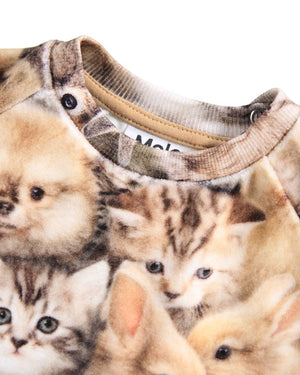 Disc Animal Set