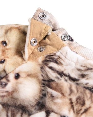 Disc Animal Set
