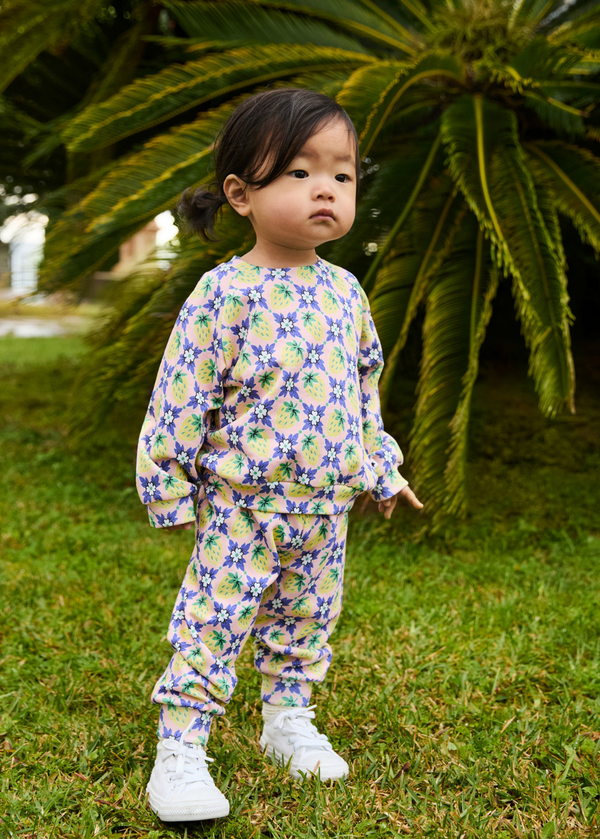 Disc Vintage Berries Set