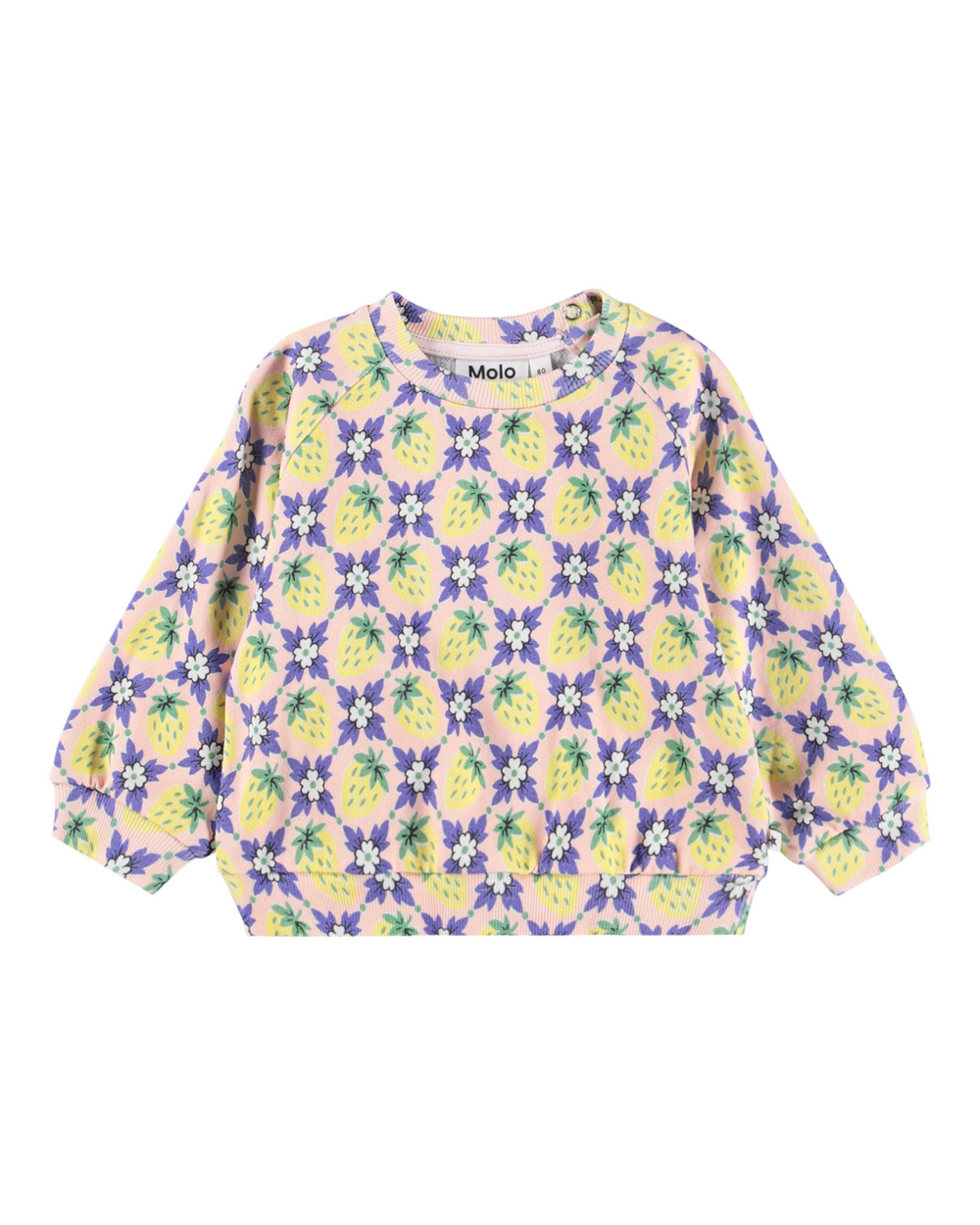Disc Vintage Berries Set