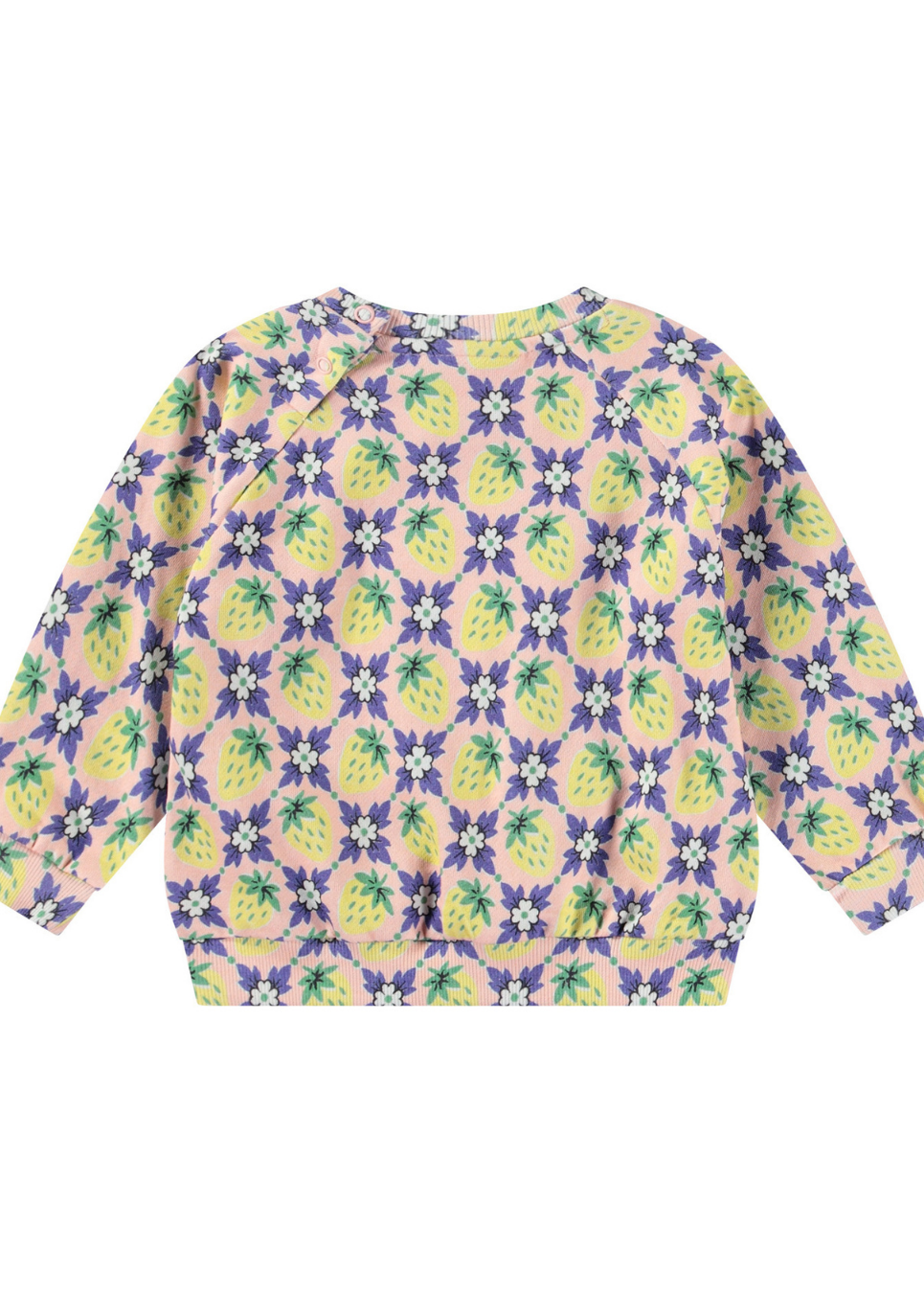 Disc Vintage Berries Set