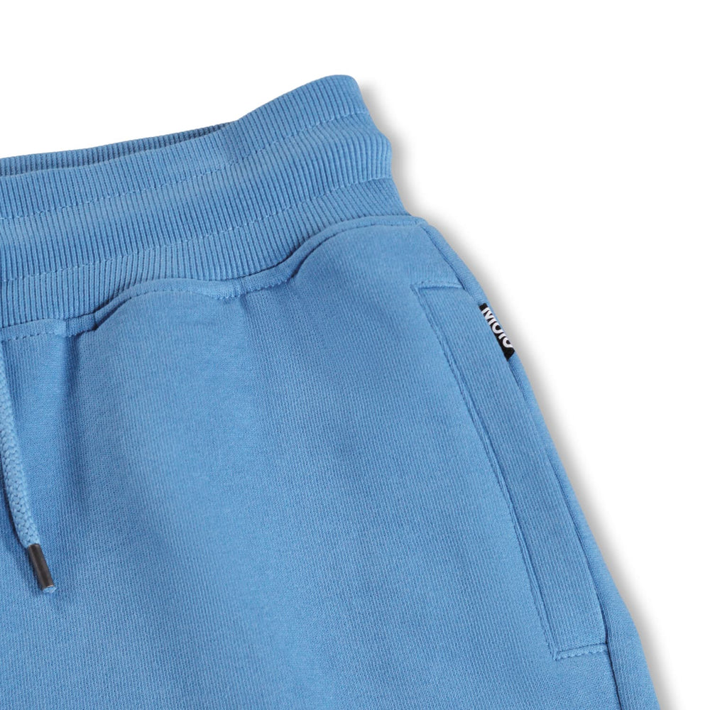 Alw Shorts Blue Tide