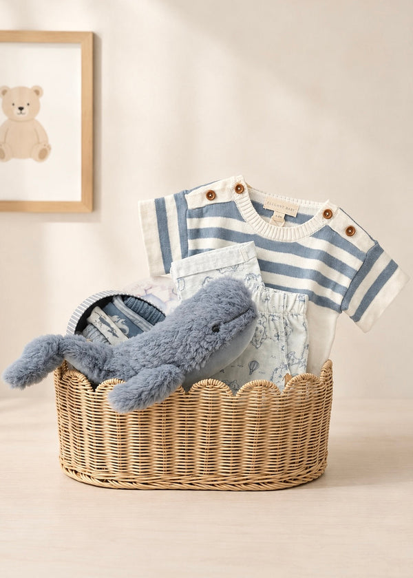 Luxury Baby Boy Gift Basket