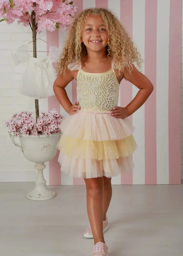 Clara Blush Sunshine Dress