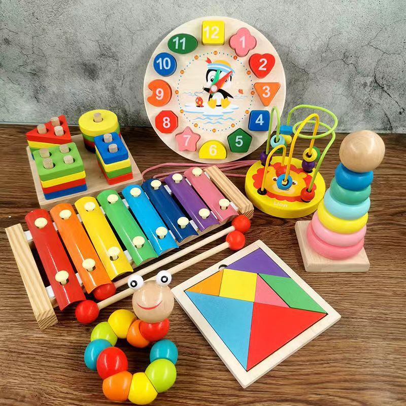 Montessori Toy Set