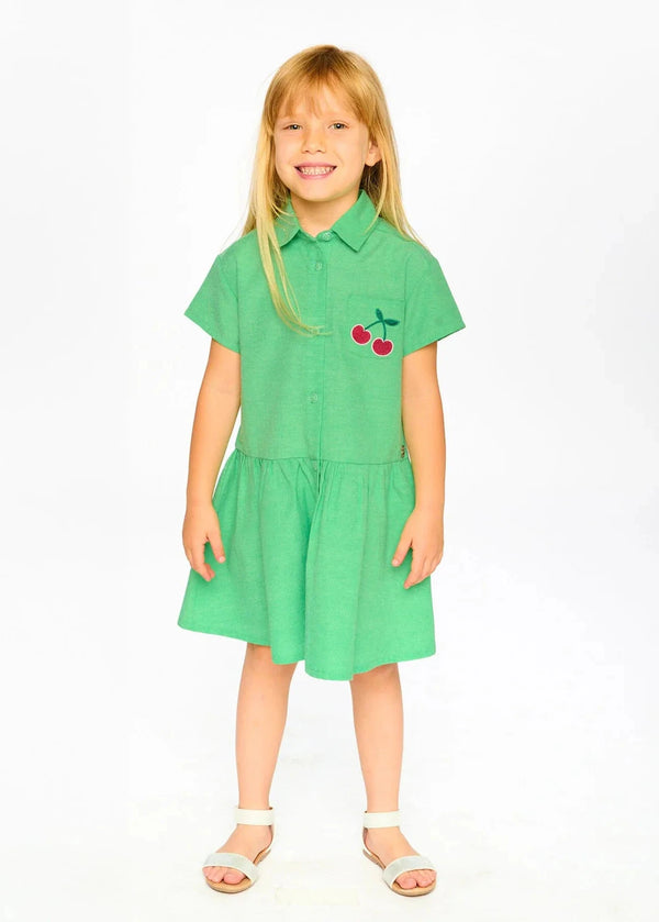 Cotton Shirt Dress With Embroidery,Green