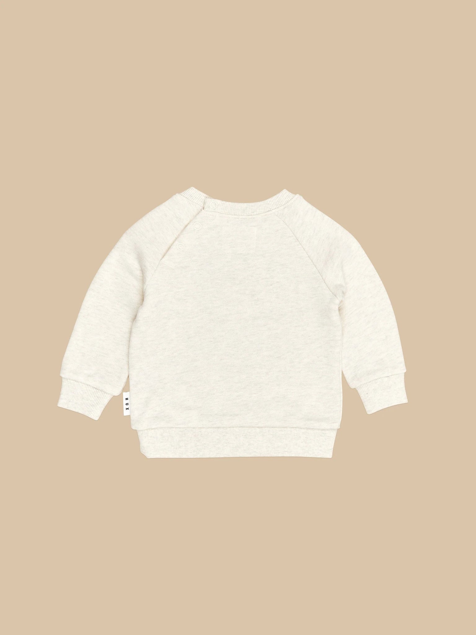 Teddy HUX sweatshirt for boy