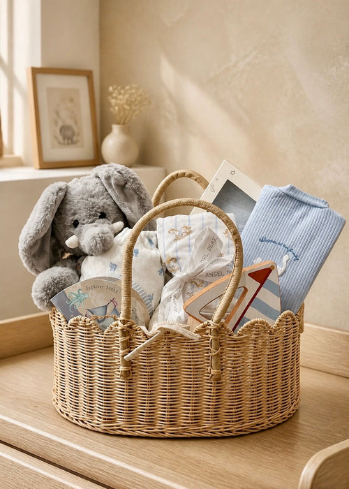 Luxury Baby Boy Gift Basket