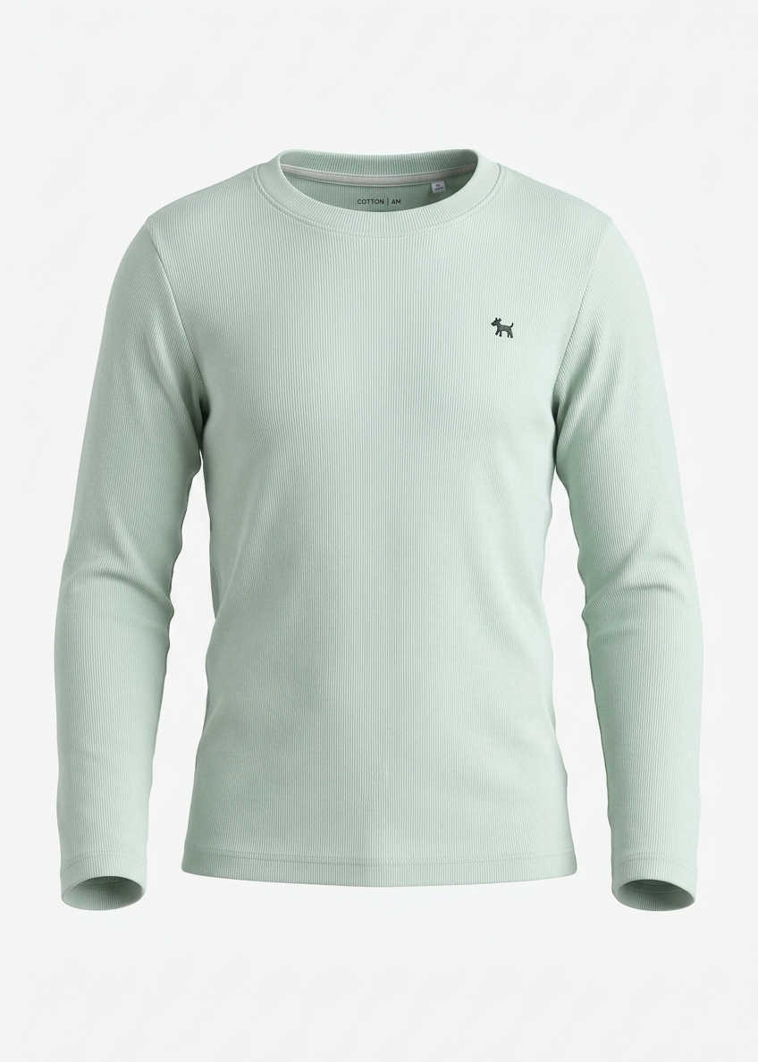 Regular Long Sleeve T-shirt