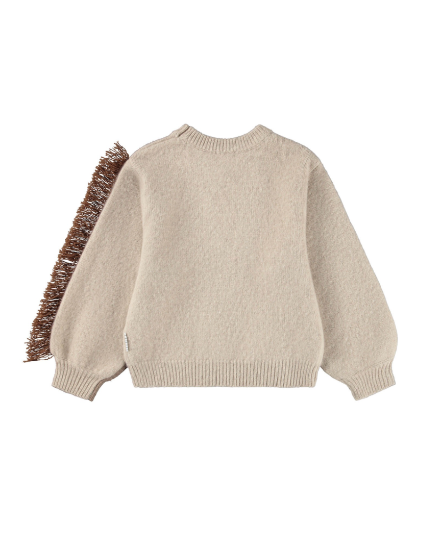 Beige sweater with brown fringes on a white background
