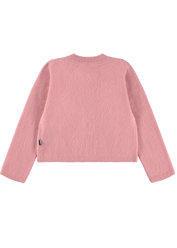 Pink sweater on a white background