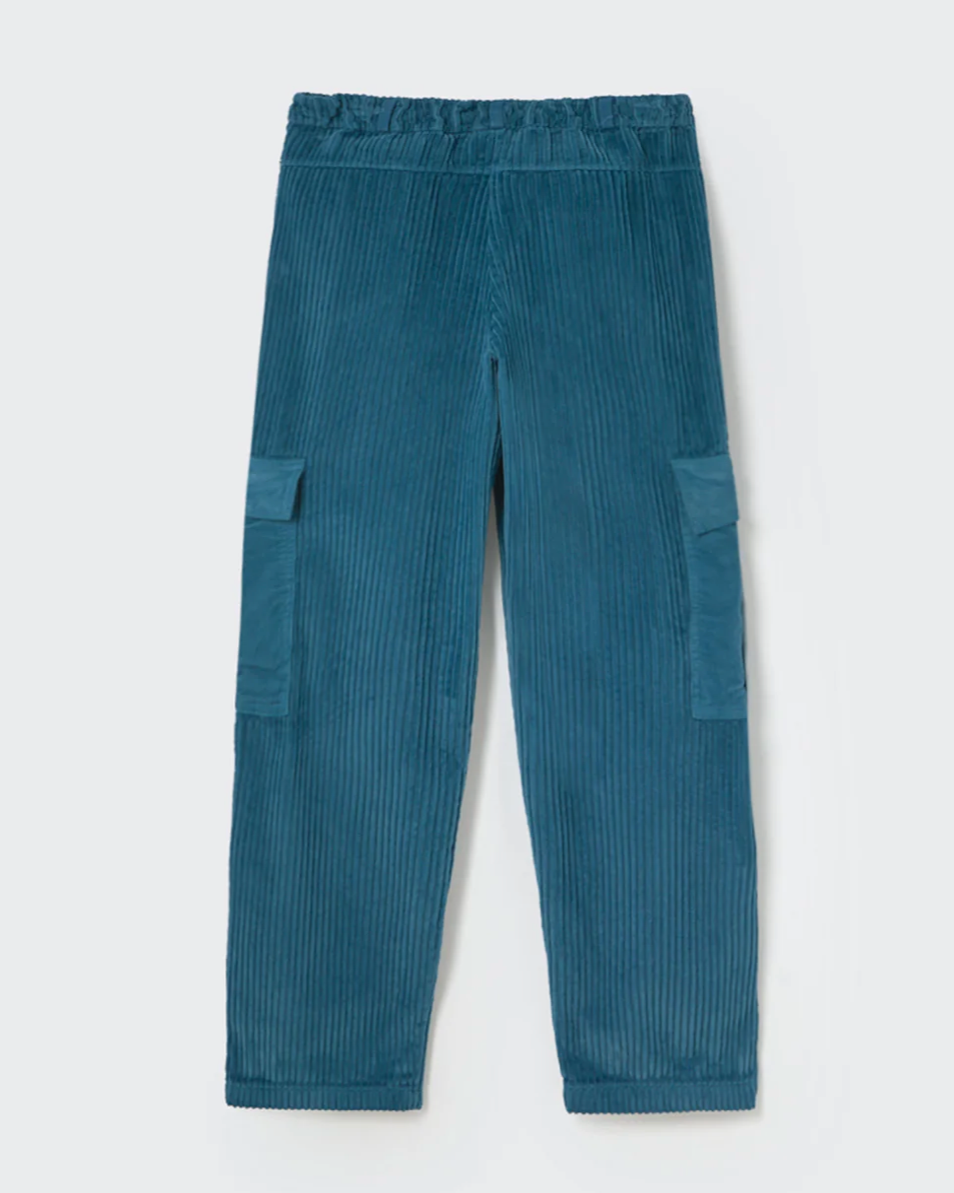 Blue corduroy cargo pants on a white background