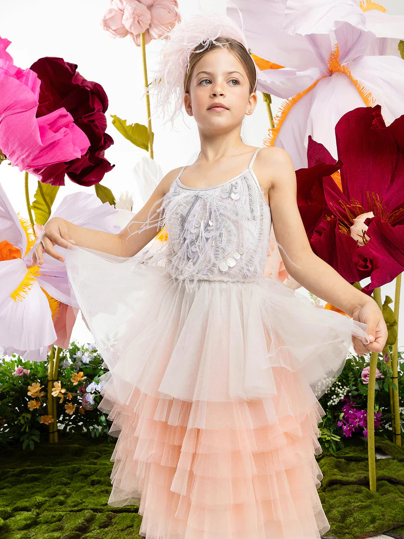 Willow Tutu Dress in French Silver Mix