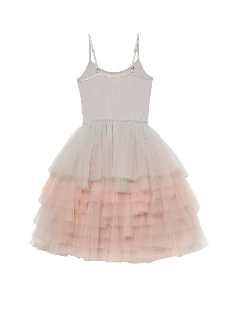 Willow Tutu Dress in French Silver Mix