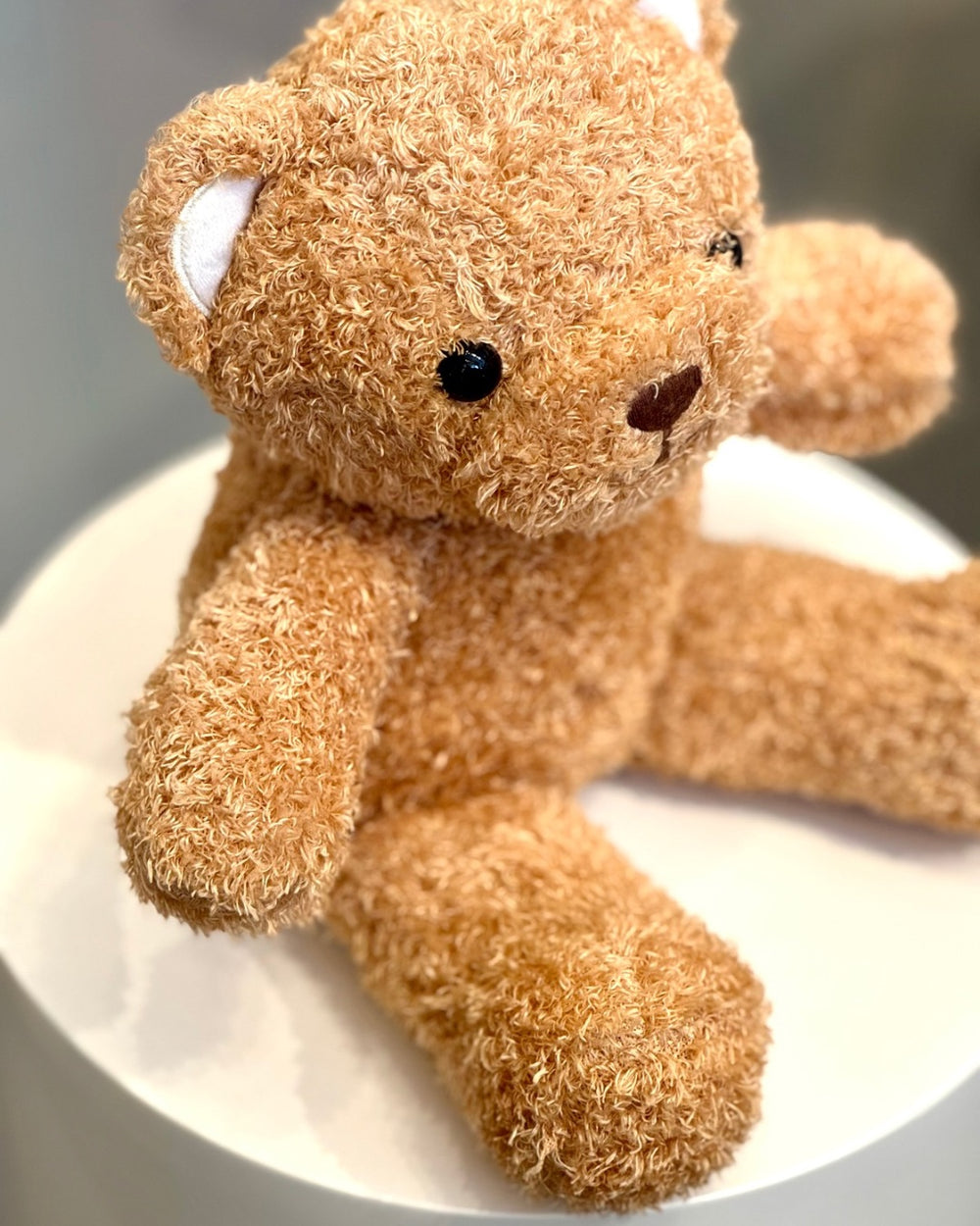 Plush Teddy Bear