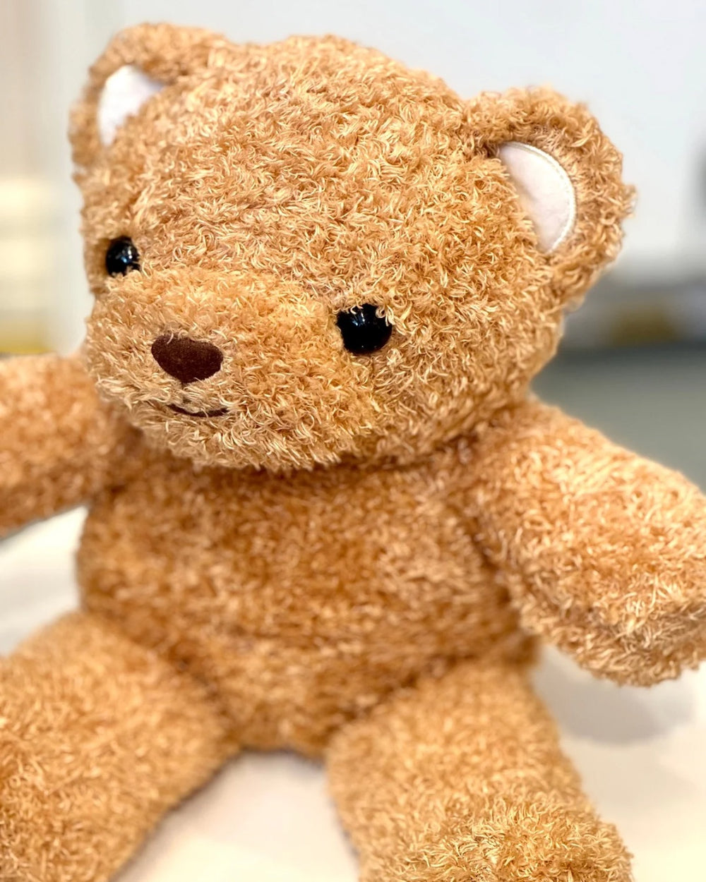 Close-up of a brown teddy bear with a blurred background