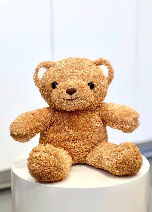 Plush Teddy Bear