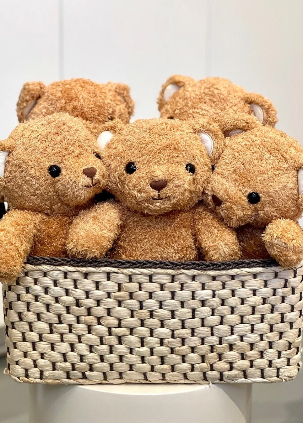 Plush Teddy Bear