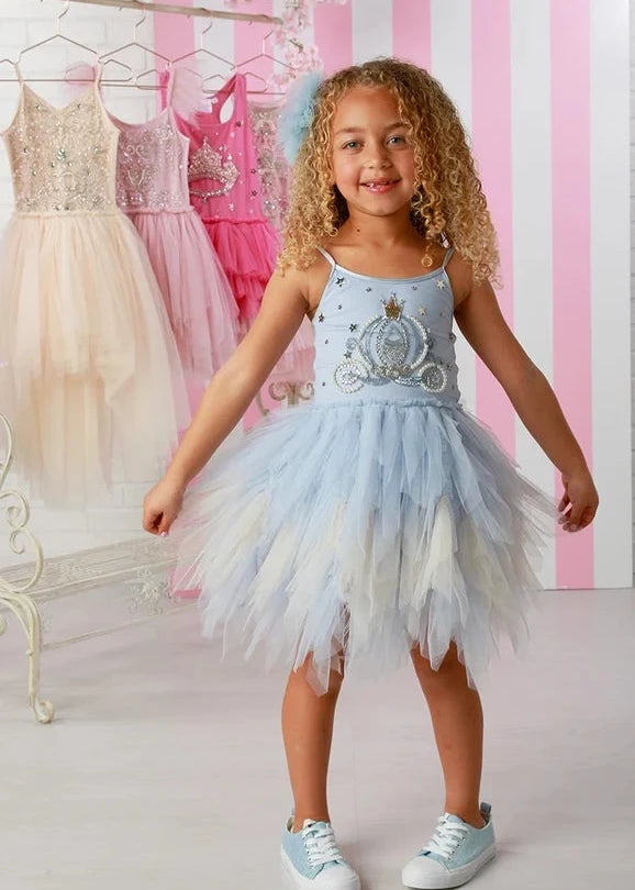 Blue Enchanted Carriage Princess Tulle Dress