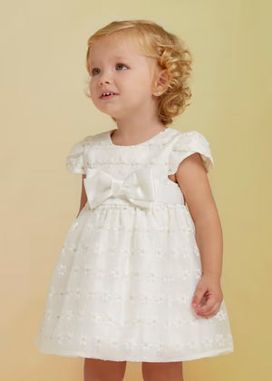 Embroidered Organza White Dress Baby