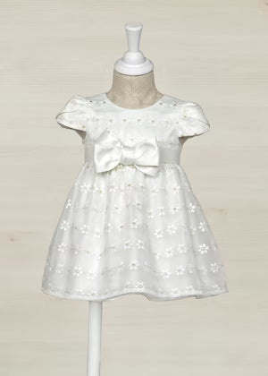 Embroidered Organza White Dress Baby